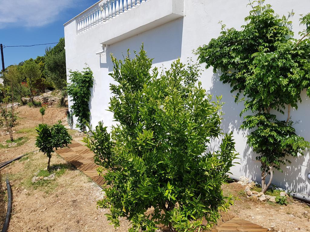 Villa Aphrodite Achlia Dış mekan fotoğraf